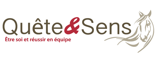 QUÊTE ET SENS